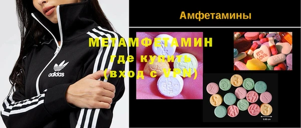 apvp Вяземский
