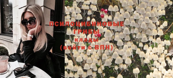 apvp Вяземский