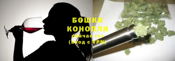 apvp Вяземский