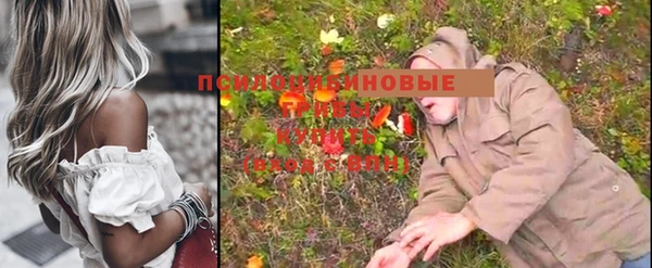 apvp Вяземский