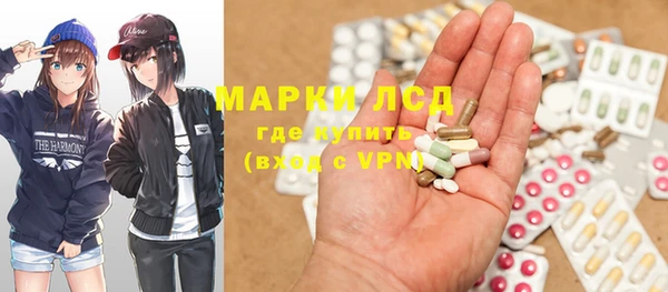 apvp Вяземский